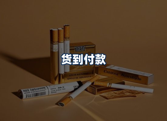 专业团队办公环境